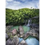 Hawaii Maui Bamboo Forest Also Called The Four Falls Of Nailiili-Haele Shot Of The First Falls. Print