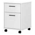 Scranton & Co 2 Drawers Contemporary Wood Mobile File Cabinet in Oak