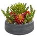 Nearly Natural 12 Plastic/Polyester Succulent Garden Artificial Plant in Bowl Red