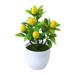 Artificial Bonsai Delicate Realistic Plastic Decorative Simulated Fruits Plants for Home Multi-color Plastic