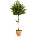 Nearly Natural 63 in. Olive Topiary Artificial Tree in Terra Cotta Planter