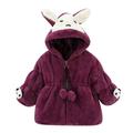 Tarmeek Baby Toodler Fuzzy Jacket Cute Hoodie Cotton Coat Winter Warm Outerwear 0-2T