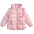 Baozhu Toddler Girl Puffer Hooded Coat Little Kid Winter Ruffle Down Jacket