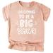 Olive Loves Apple Big Sister New Baby Reveal I m Going to be a Big Sister New Sibling Announcement T-Shirts White on Peach Shirt 4T