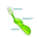 RADIUS Kidz Toothbrush Children s Right Hand BPA Free ADA Accepted Designed to Clean Teeth & Gums for Children 6 Years & Up - Green