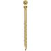 9 x 5 in. Fin & Trim Screw