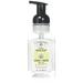 Aloe and Green Tea Foaming Hand Soap 9 Ounce Pack of 4