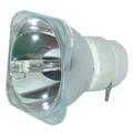 9281-690-05390 Bulb (Lamp Only) Various Applications - 90 Day Warranty