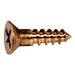 #8 x 5/8 Silicon Bronze Phillips Flat Head Wood Screws (10 pcs.)