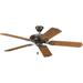 P2502-20-Progress Lighting-AirPro Outdoor - Wide - Ceiling Fan in Transitional style - 52 Inches wide by 12.75 Inches high-Antique Bronze Finish
