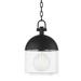 1 Light Large Outdoor Pendant 15 inches Tall and 9.5 inches Wide Bailey Street Home 154-Bel-4623666