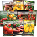 Tomato Seeds Collection - Non GMO Heirloom Garden Varieties for Planting - Plant Tomatoes in Your Vegetable Garden - 10 Count