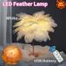 Creative Feather Table Lamp Feather Lampshade LED Night Lamp Bedside Table Lights USB & Battery Dual Use Feather Desk Lamp for Bedroom Wedding Decorative Birthday Gift Warm White
