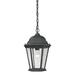 Elk Home - Temple Hill - One Light Outdoor Hanging Lantern