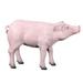 Baby Pig Standing Life Size Statue