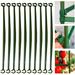 MODANU 24 Pcs Expandable Trellis Connectors-11.8 inch Stake Arms for Tomato Cage with 2 Buckles for Tomato Cage Attach 11mm Diameter Plant Stakes Green