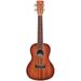 Cordoba Cordoba 15CM-E Edge Burst Acoustic-Electric Concert Ukulele