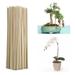 100PCS Wooden Plant Support Stick For Indoor Potted Plants Garden Tool Flower Plant Growth Support Rod Bamboo Chop Sticks