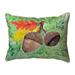 Betsy Drake SN1389 11 x 14 in. Drakes Acorns Indoor & Outdoor Pillow - Small