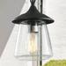 LNC 1-Light Matte Black / Seeded Glass Farmhouse Outdoor Pendant Light 6.1 D x 9.4 H
