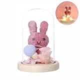 Valentine s Day Gifts for Women Rabbit Night Light Gift Last Forever in Glass Dome Unique Gift for Valentine s Day Mother s Day Birthday Wedding Anniversary