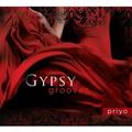 Gypsy Grooves (Digi-Pak)