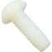 Screw Plastic Little Giant 5-APCP 1/4-20 x 3/4