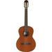 Cordoba Iberia C5 Acoustic Guitar