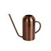 Jikolililili Watering Can Indoor Plants Watering Can Stainless Steel Watering Can - Metal Watering Can With Long Spout To Prevent Spillage Perfect Plant Watering Can For Outdoor And Indoor Plants