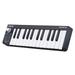 WORLDE USB MIDI Keyboard Controller 25-Key with Velocity-Sensitive Keys Small Portable MIDI Keyboard as Gift for Kids