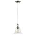 Forte Lighting - Milo - 1 Light Cord-Hung Mini Pendant-9 Inches Tall and 8.25