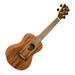 Flight Acacia Concert Ukulele Supernatural Series DUC440