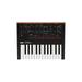 Korg monologue 25-Key Monophonic Analog Synthesizer (Black)