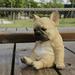 BetterZ Dog Statue Realistic Looking Waterproof Resin French Bulldog Statue Garden Decor for Home