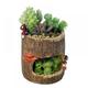 Velocity New 1pcs Garden Planter Lovely Resin Succulent Plant Flower Bonsai Planter Pot Box Bed Garden Decor1