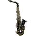 Sky Guarantee High Quality Sound E FLAT Black Lacquer Alto Saxophone W High F# Key+light Weight Case and Extra 10 Reeds