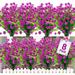 Sinhoon 8Pcs Artificial Flowers Outdoor UV Resistant Fake Flowers Faux Plastic Flower Greenery Shrubs Plants for Indoor Outside Hanging Planter Home Garden Window Box Porch Spring Decoration(Magenta)