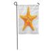 LADDKE Orange Starfish Aquarium Biology Bumpy Climate Color Conch Copy Garden Flag Decorative Flag House Banner 28x40 inch