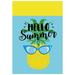 Hello Summer Pineapple Outdoor Garden Flag 12.5 x 18