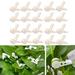 20 Pcs 360 Degree Adjustable Plant Trainer Clips Support Clips Tomato Branches Bender Plant Stem Trainer Clips (White)