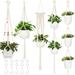 BRIZI LIVING 5 Pack Macrame Plant Hangers Indoor Hanging Planter Handmade Hanging Plant Holder Handmade Plant Hangers for Indoor Plant Hanger Boho & Home Decor Ivory