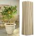 Natural Bamboo Stakes 8 Inch Eco-Friendly Garden Stakes Plant Stakes Supports Climbing for Tomatoes Trees Beans