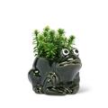 Set of 2 Small Crouched Frog Planter