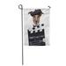 LADDKE Video Movie Clapper Board Director Dog Funny Pet Garden Flag Decorative Flag House Banner 28x40 inch