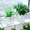Cheers.US Self Watering Planter Clear Plastic Automatic-Watering Planter Self Watering Pots for Indoor Plants Flower Pot for All House Plants Succulents Herb African Violets