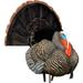 Higdon Outdoors Full Strut Tom Turkey Decoy W/ Magnetic Removeable Fan