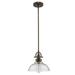 HomeRoots 9.5 x 9.75 x 9.75 in. Virginia 1-Light Oil-Rubbed Bronze Pendant with Clear Glass Shade