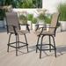 Emma + Oliver Patio Bar Height Stools Set of 2 All-Weather Textilene Swivel Stools in Brown