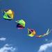 62 Fashion Windsocks Wind Twister Spinners Rainbow Kite Socks Flag Garden Yard Decoration