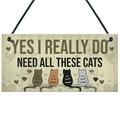 Dengmore YES I REALLY DO Gift Novelty Birthday Hanging Plaque Gift Wooden Pendant for Home Decor